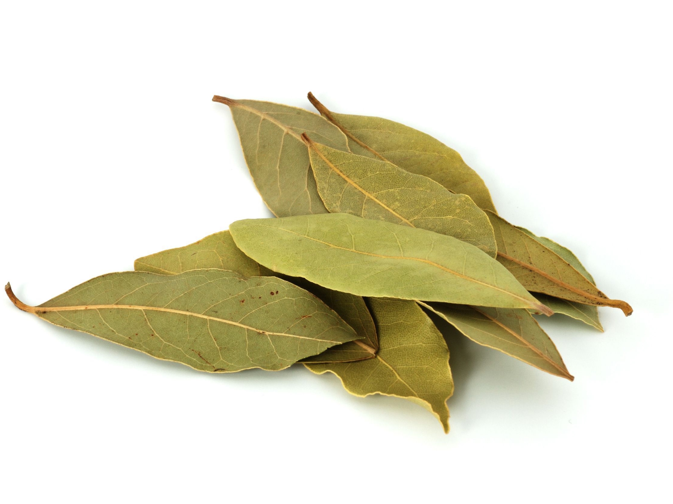 a small stack of bay leaves