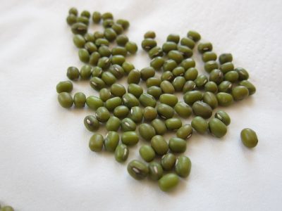 a small mound of mung beans