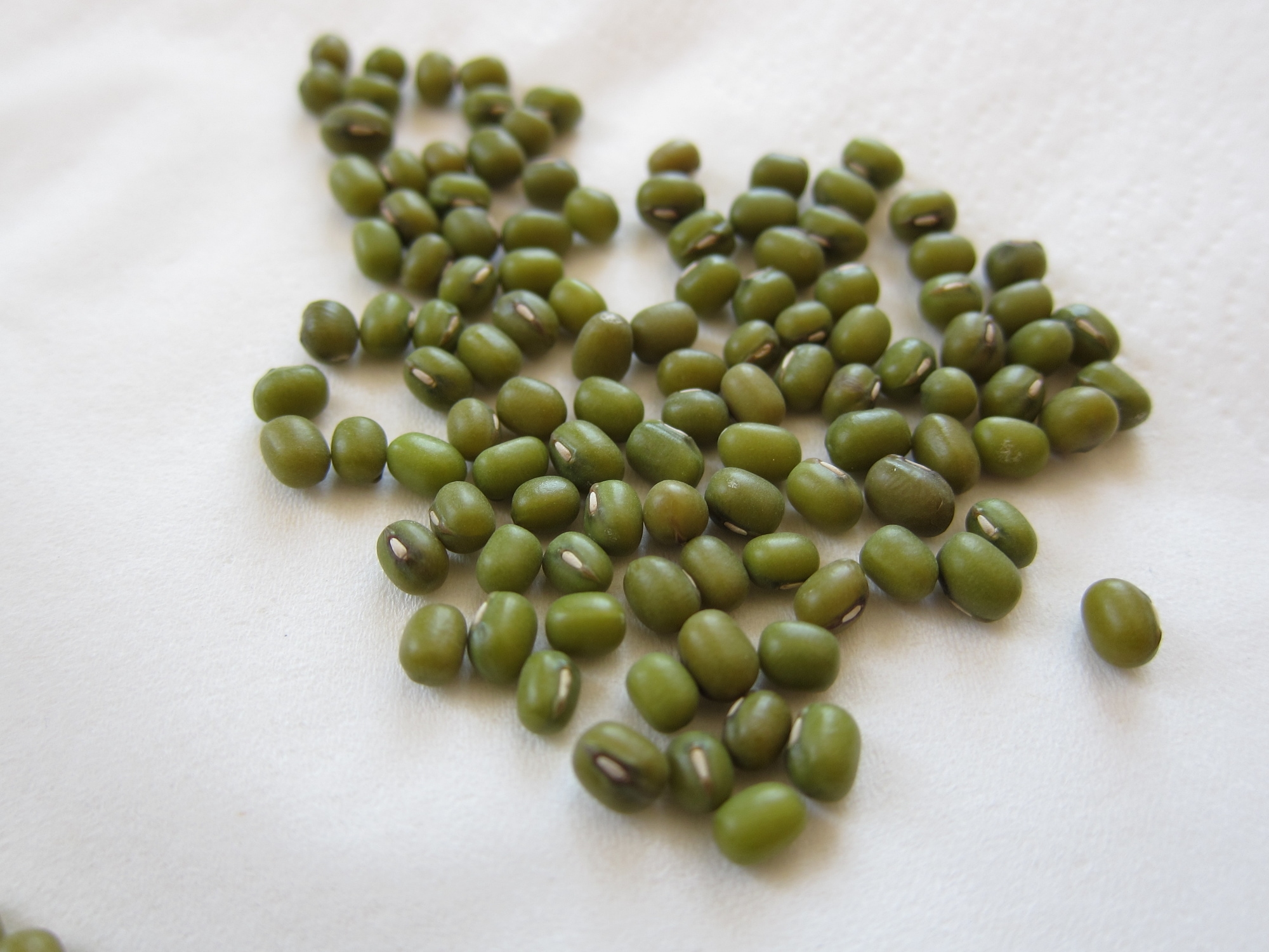 a small mound of mung beans