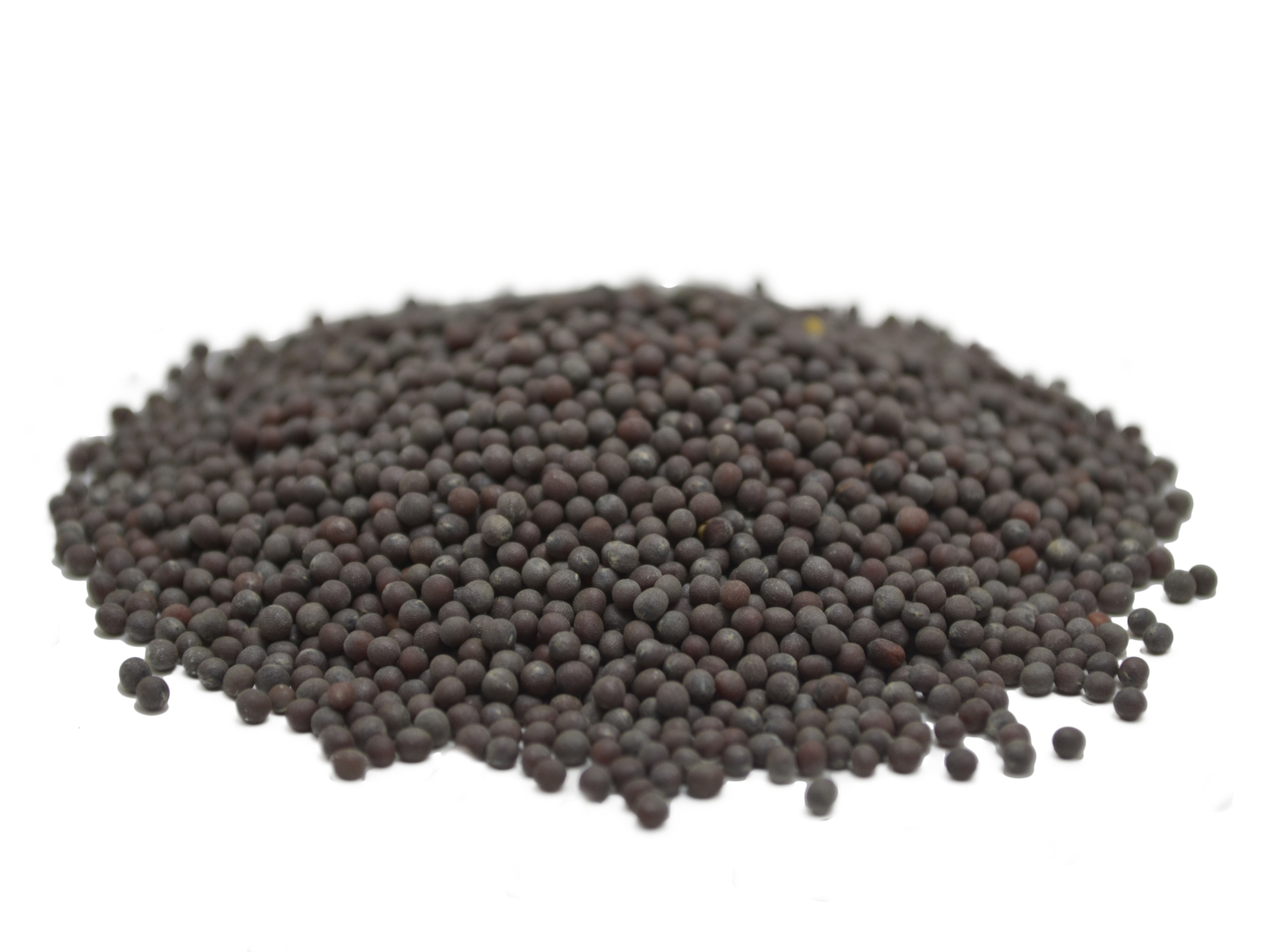 a snalll mound of black mustard seeds