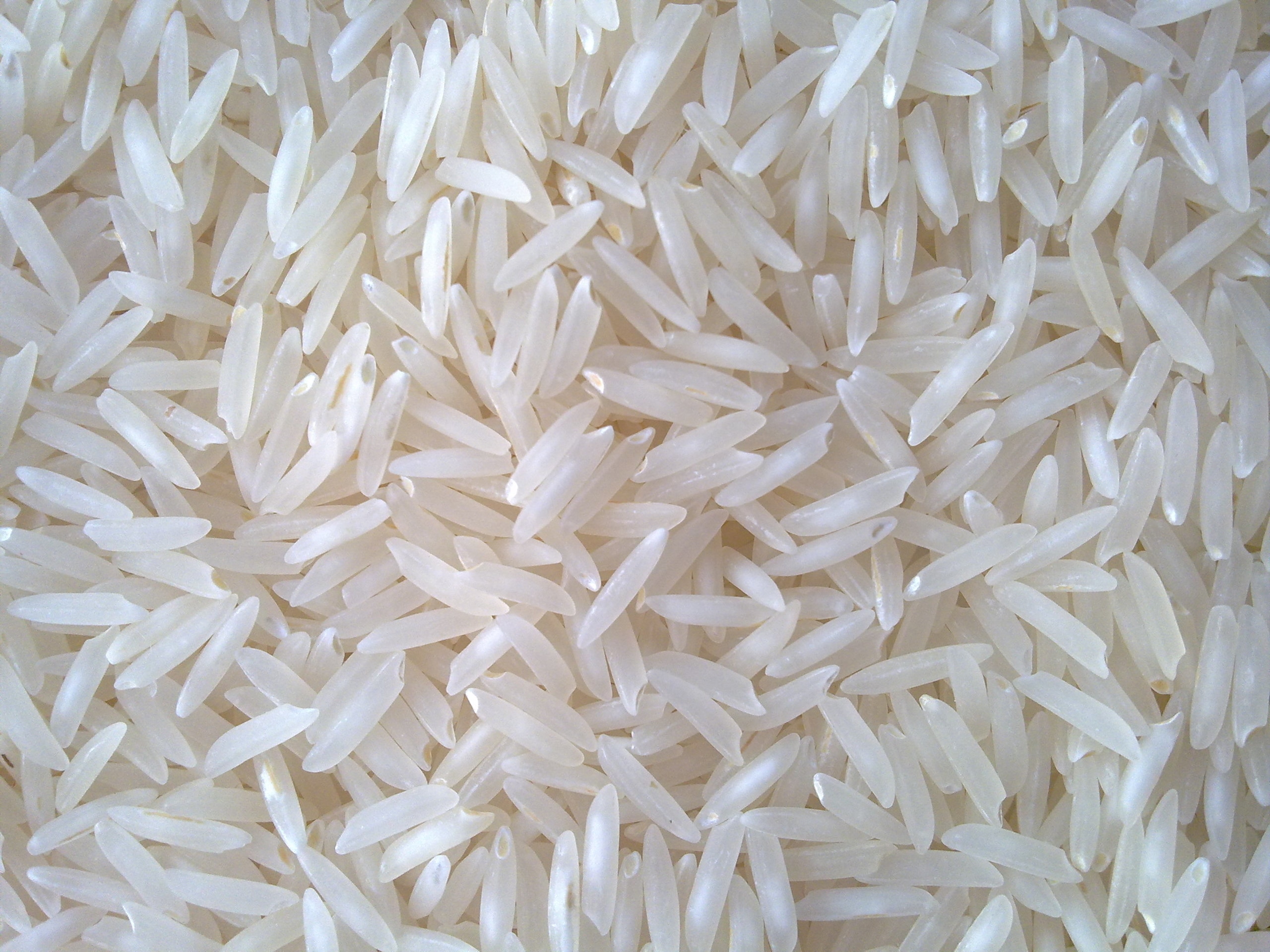 a closeup of a mound of uncooked basmati rice