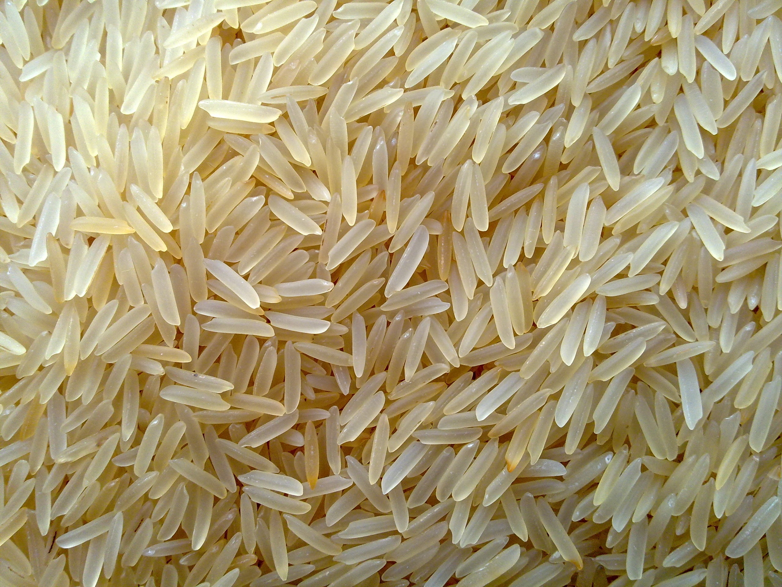 a closeup of a mound of uncooked sella rice