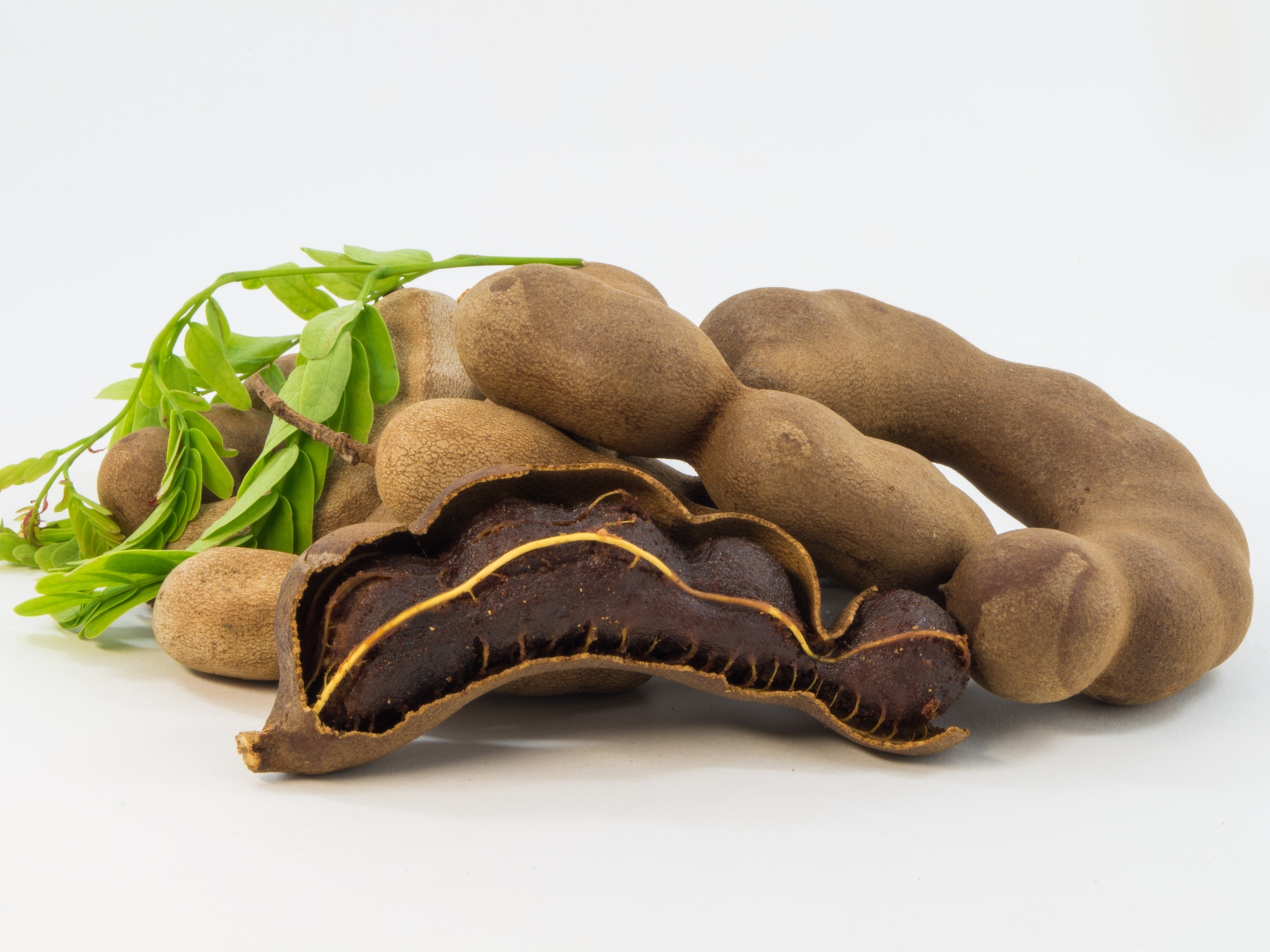 a small pile of tamarind pods. One at front broken open.